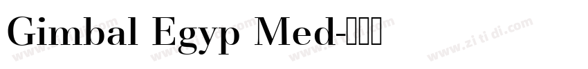 Gimbal Egyp Med字体转换